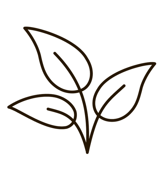 Plant with three leaves icon